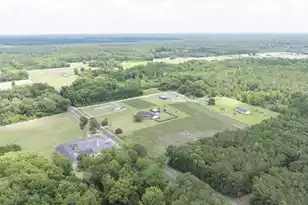 1 Joseph Lemon and Dingle Rd, Manning, SC 29102 - Photo 31