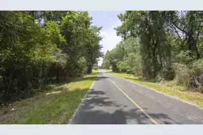 1 Joseph Lemon and Dingle Road #Lot 1, Manning, SC 29102 - Photo 3