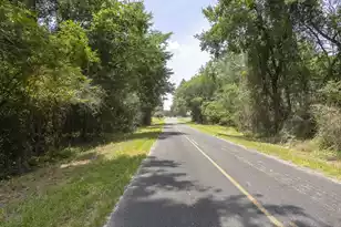 1 Joseph Lemon and Dingle Rd, Manning, SC 29102 - Photo 3