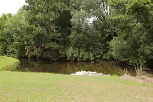 1802 Hopeman Ln, Mount Pleasant, SC 29466 - Photo 33