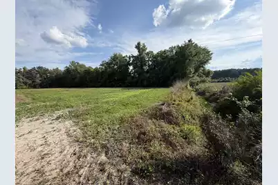 0 Reevesville, Reevesville, SC 29471 - Photo 7