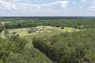 2 Joseph Lemon & Dingle Rd, Manning, SC 29102 - Photo 19