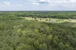 2 Joseph Lemon & Dingle Rd, Manning, SC 29102 - Photo 21