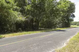 2 Joseph Lemon & Dingle Rd, Manning, SC 29102 - Photo 5