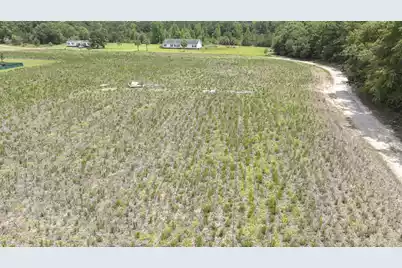 2 Joseph Lemon & Dingle Road, Manning, SC 29102 - Photo 33