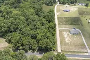 2 Joseph Lemon & Dingle Rd, Manning, SC 29102 - Photo 41