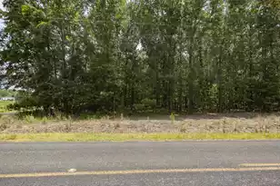 2 Joseph Lemon & Dingle Rd, Manning, SC 29102 - Photo 11