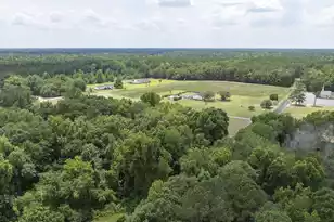 2 Joseph Lemon & Dingle Rd, Manning, SC 29102 - Photo 25