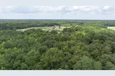 2 Joseph Lemon & Dingle Road, Manning, SC 29102 - Photo 23