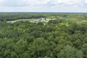 2 Joseph Lemon & Dingle Rd, Manning, SC 29102 - Photo 23
