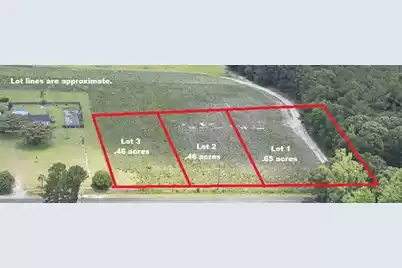 3 Joseph Lemon and Dingle Road, Manning, SC 29102 - Photo 1