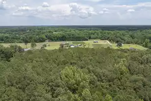 3 Joseph Lemon and Dingle Rd, Manning, SC 29102 - Photo 19