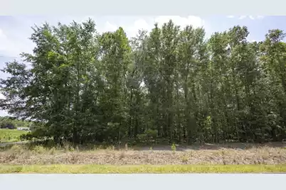 6 Joseph Lemon and Dingle Road, Manning, SC 29102 - Photo 9