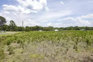 6 Joseph Lemon and Dingle Rd, Manning, SC 29102 - Photo 39