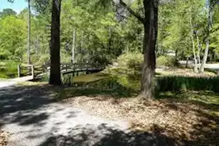 124 Helen Dr, Summerville, SC 29483 - Photo 41