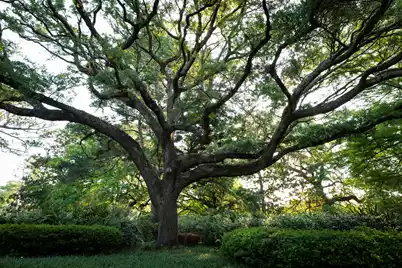 1299 Old Towne Road, Charleston, SC 29407 - Photo 23