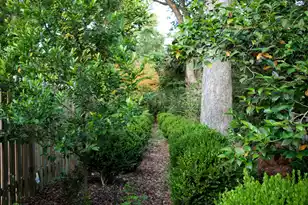 1299 Old Towne Rd, Charleston, SC 29407 - Photo 25
