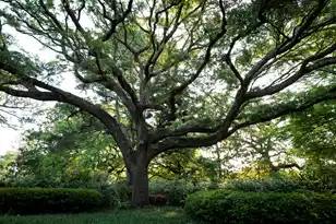1299 Old Towne Rd, Charleston, SC 29407 - Photo 21
