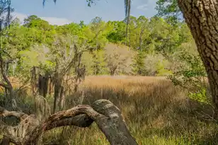 2768 Burden Creek Rd, Johns Island, SC 29455 - Photo 69