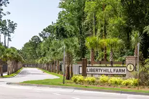 2300 Minifarm Wy, Mount Pleasant, SC 29466 - Photo 49