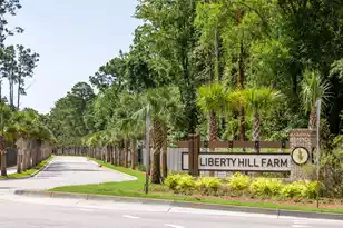 2300 Minifarm Wy, Mount Pleasant, SC 29466 - Photo 43
