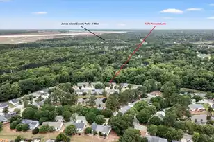 1373 Pinnacle Ln, Charleston, SC 29412 - Photo 33