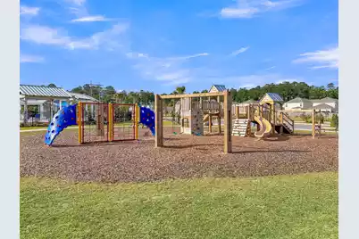 303 Black Birch Drive, Summerville, SC 29486 - Photo 51