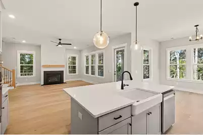 2511 Annie Aiden Lane, Charleston, SC 29414 - Photo 19