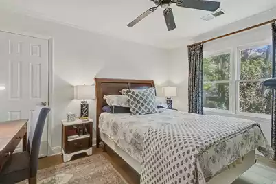 667 Serotina Court, Mount Pleasant, SC 29464 - Photo 35