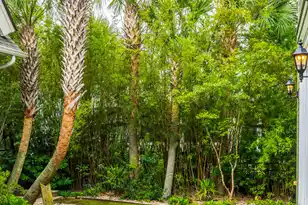 67 Delahow St, Daniel Island, SC 29492 - Photo 101