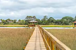 608 Palm Blvd, Isle Of Palms, SC 29451 - Photo 61