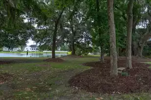 2528 Bent Tree Ln, Mount Pleasant, SC 29464 - Photo 51