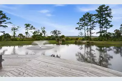 517 Spring Hollow Drive, Charleston, SC 29492 - Photo 45