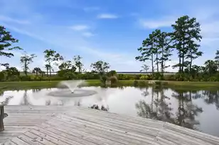 517 Spring Hollow Dr, Charleston, SC 29492 - Photo 45