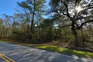 11068 Jefferies Hwy, Walterboro, SC 29488 - Photo 1