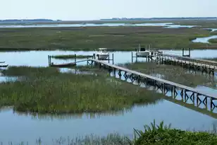 5027 Barrier Island Ct, Mount Pleasant, SC 29466 - Photo 1