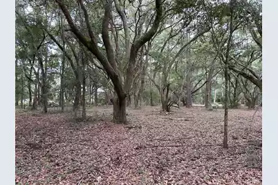 1470 Marsh Bluff Court, Edisto Island, SC 29438 - Photo 5