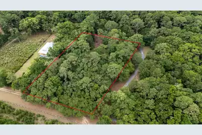 1470 Marsh Bluff Court, Edisto Island, SC 29438 - Photo 11