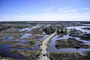 545 Towles Crossing Dr, Johns Island, SC 29455 - Photo 1