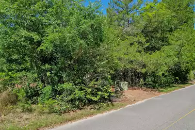 119 Sandpit Drive, Ridgeville, SC 29472 - Photo 5