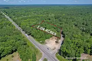 119 Sandpit Dr, Ridgeville, SC 29472 - Photo 1