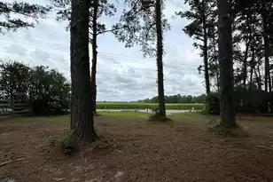 1033 Dawson St, Eutawville, SC 29048 - Photo 47