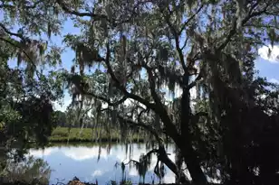 7 Garden Corner Ct, Charleston, SC 29407 - Photo 25