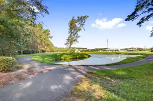 302 Hydrangea St, Summerville, SC 29483 - Photo 53