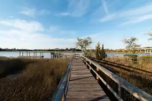 115 Wappoo Landing Cir, Charleston, SC 29412 - Photo 47
