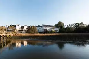 115 Wappoo Landing Cir, Charleston, SC 29412 - Photo 59