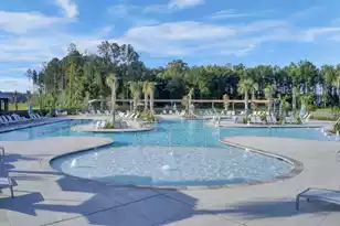 406 Wood Lilly Lp, Summerville, SC 29486 - Photo 41