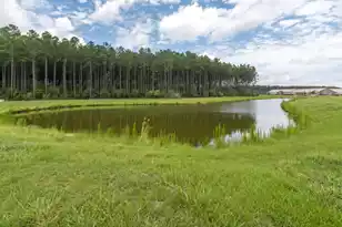 213 Clearblue Loop, Summerville, SC 29486 - Photo 5