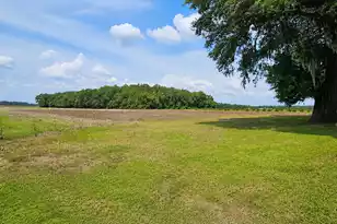 124 Whistling Swan Rd, Elloree, SC 29047 - Photo 7