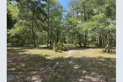 3452 Cypress Pond Road, Walterboro, SC 29488 - Photo 3